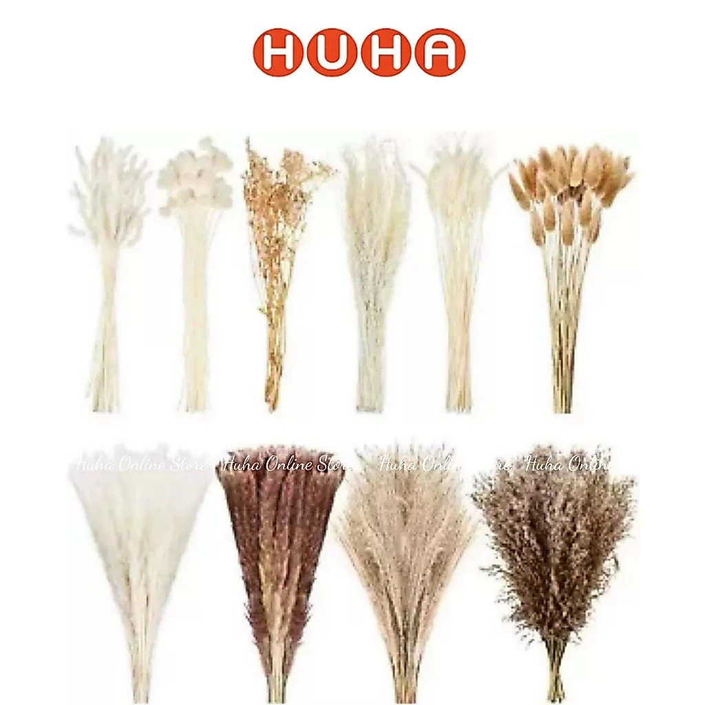 Set hoa khô trang trí để bàn đơn giản - Cỏ lau khô, đuôi thỏ khô, lúa mạch khô