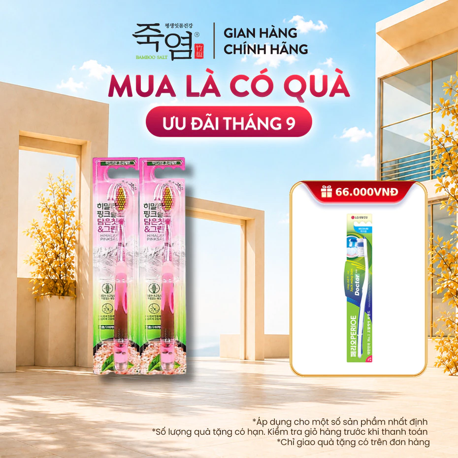 [CHÍNH HÃNG ĐỘC QUYỀN] Bàn Chải Bamboo salt Lông Mềm, Bảo Vệ Nướu