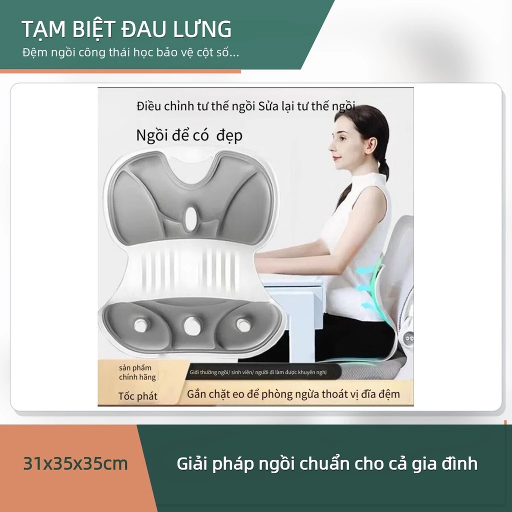 Đệm Ngồi Chỉnh Tư Thế Chống Gù Lưng Có Tựa Lưng Nhựa PP Đệm Mút Hoạt Tính Cho Văn Phòng Học Sinh ✨deerlu05.vn✨