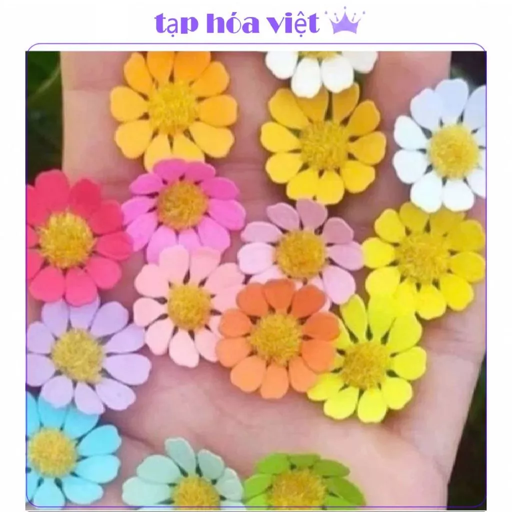 GÓI 100 BÔNG HOA CÚC NHÍ trang trí bánh sinh nhật, hoa cúc tana trang trí bánh