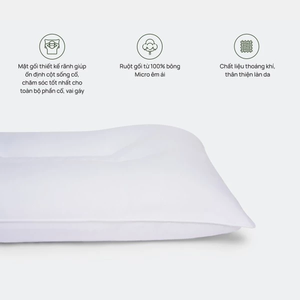Ruột gối thư giãn cổ Everon Micrelax nhiều kích thước (Độ cao 10cm. Độ mềm trung bình)