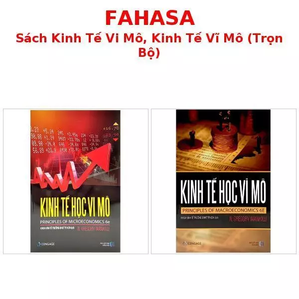 Sách Kinh Tế Học Vi Mô, Kinh Tế Học Vĩ Mô (Trọn Bộ)