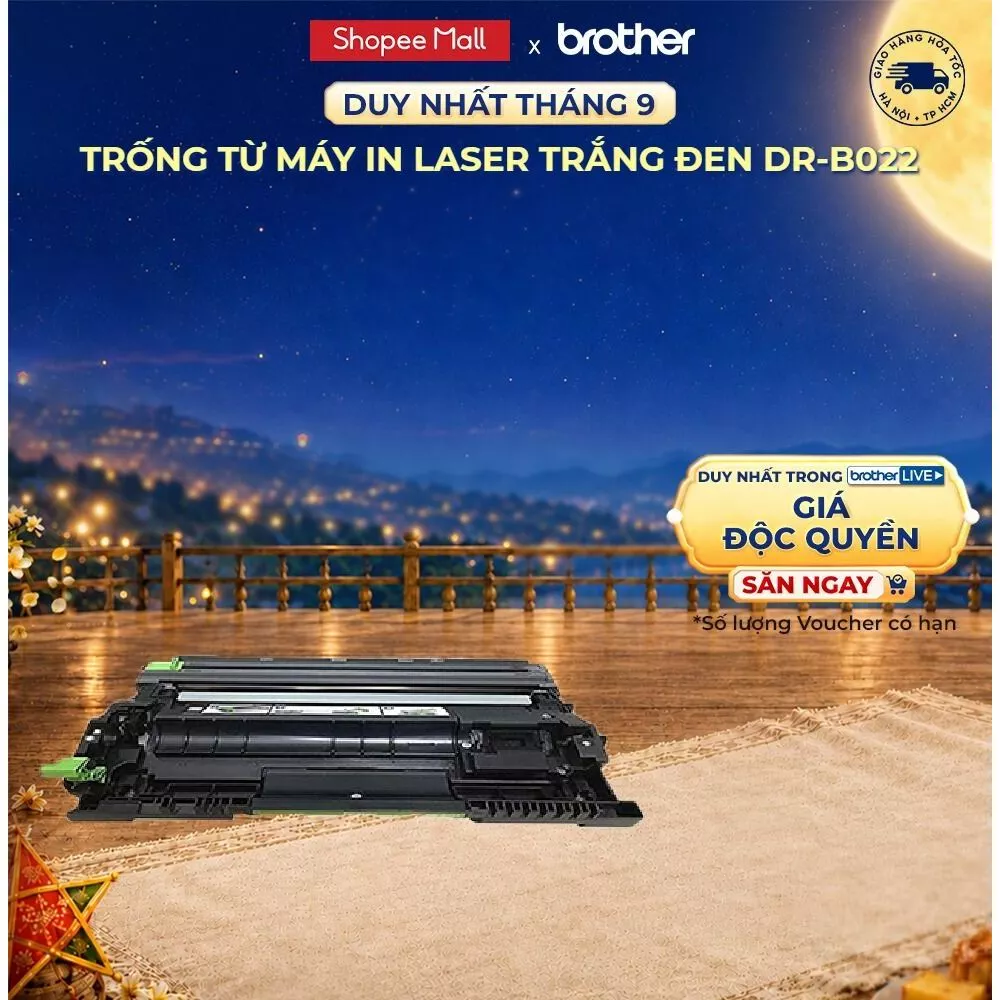 Trống từ Brother DR-B022