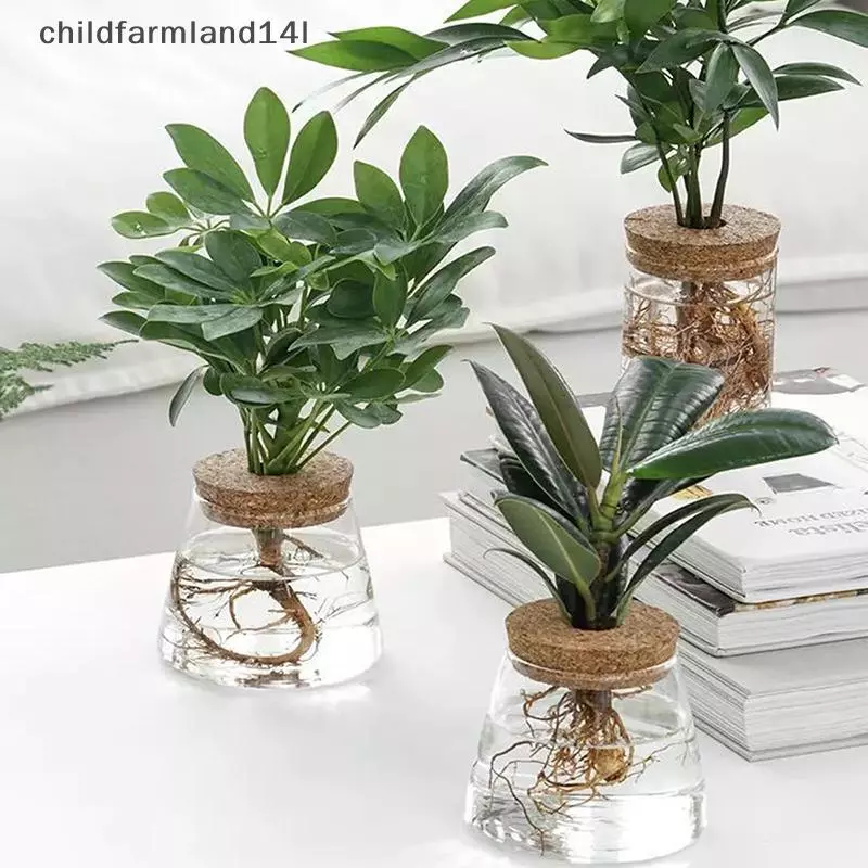 Trong Suốt Thủy Canh Chậu Hoa Giả Thủy Tinh Không Đất Trồng Chậu Cây Xanh Nhựa Chậu Hoa Nhà Bình