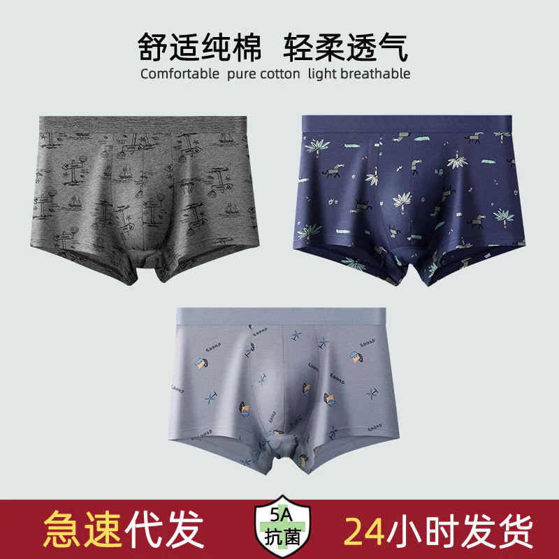 Quần Lót Nam Cotton Nguyên Chất Kháng Khuẩn Đáy Quần Boxer Thoáng Khí In Hình Thanh Niên Nam Cotton Nguyên Chất Quần Lót Bagged Bán Buôn