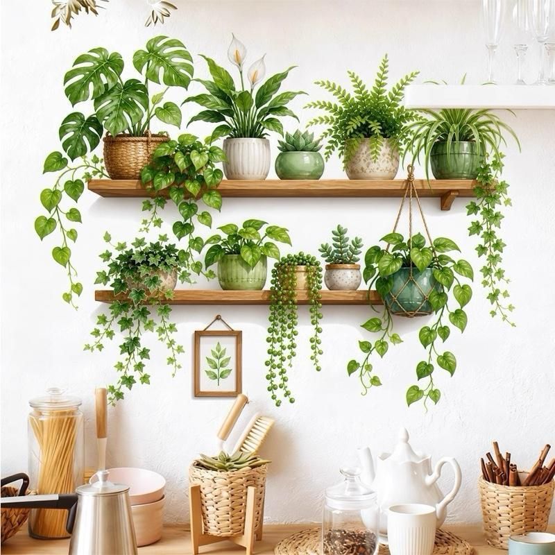 DT22 - 40x70cm Decaltrong chậu cây, kệ cây xanh. Decal dán tường (40cm x 70cm)…