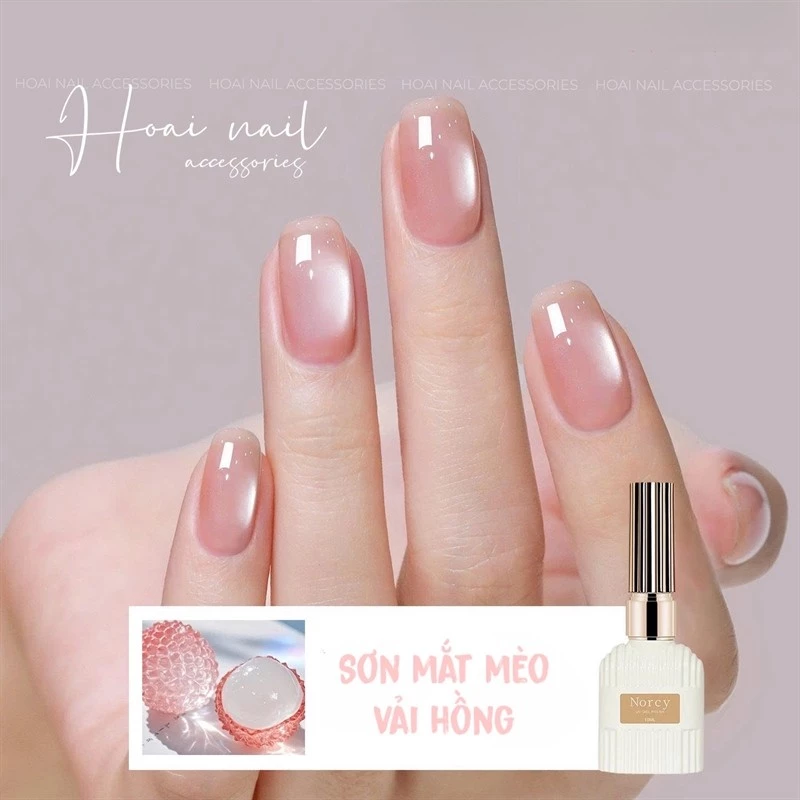 Sơn gel hot mắt mèo vải hồng lệ chi Hno