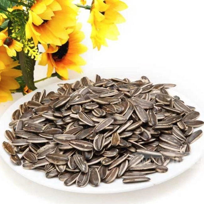 500gr Hướng dương vị truyền thống, vị dừa, vị óc chó loại ngon
