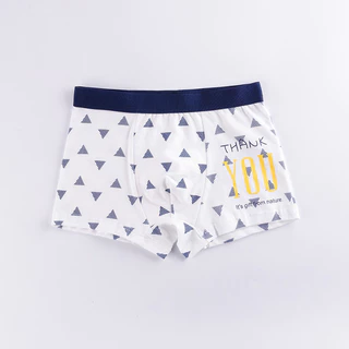 Quần Lót Trẻ Em Bé Trai Cotton Nguyên Chất Lớp Một Boxer Hoạt Hình Vừa Lớn Quần Lót Trẻ Em Không Kẹp PP