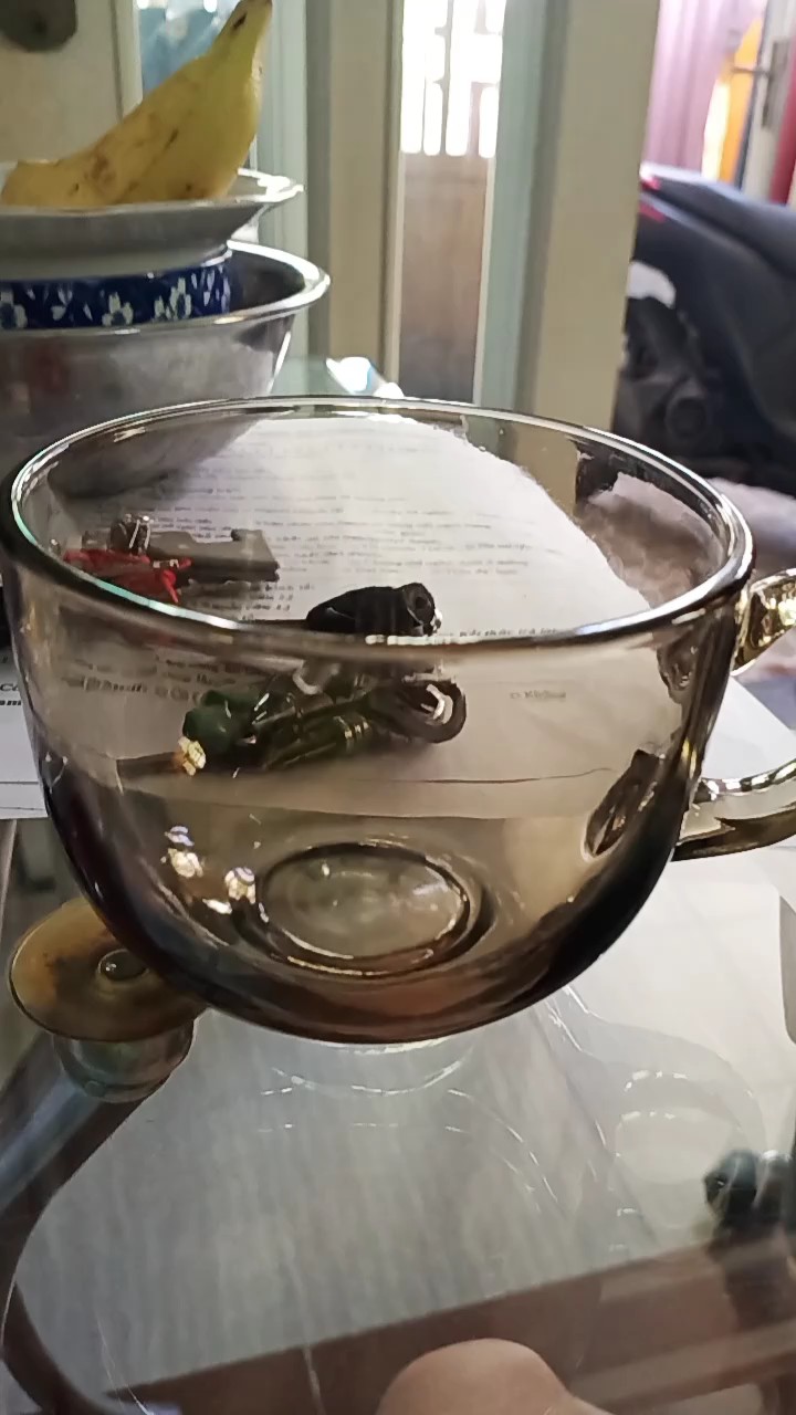 Video đánh giá