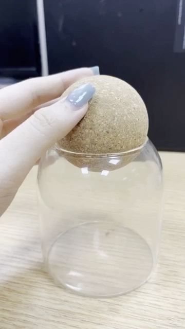 Video đánh giá