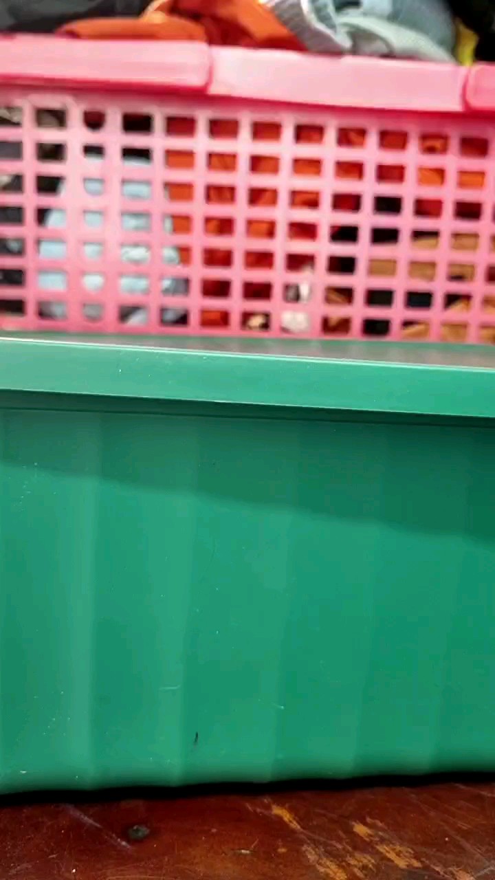 Video đánh giá