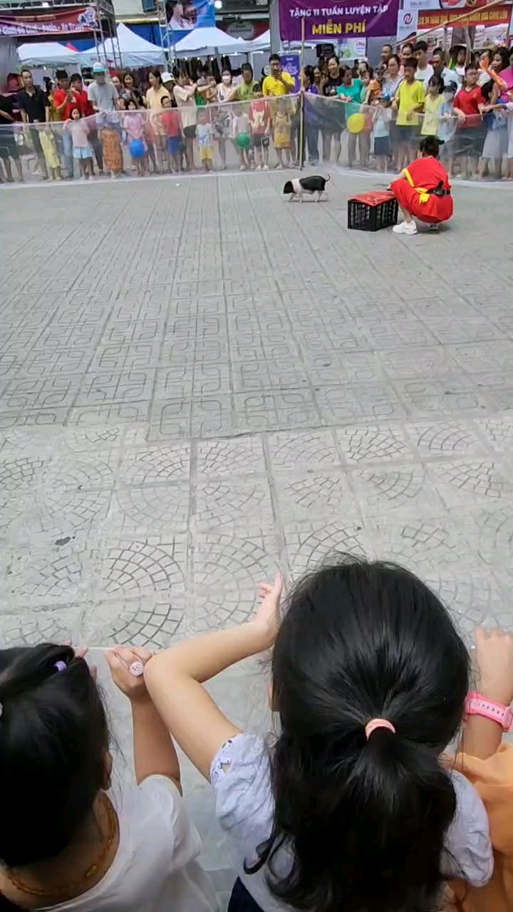 Video đánh giá
