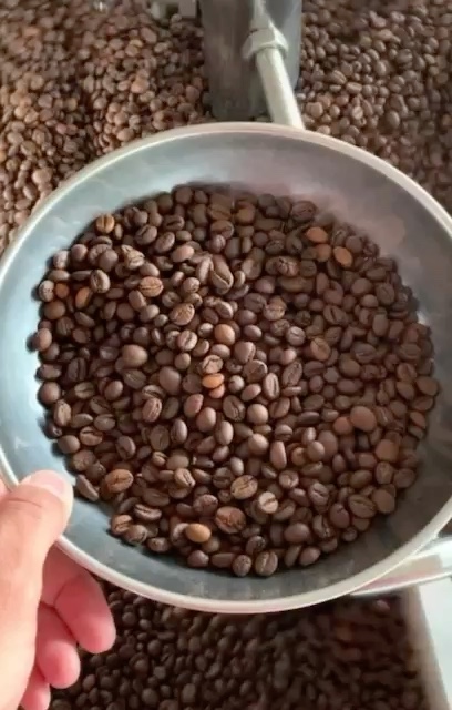Video đánh giá