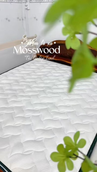 Đệm lò xo mosswood #ShopeeCreator #VideoHangGiaDung #ShopeeVideo #HangMoiVe #KOLUyTin #LuotVuiMuaLien #demloxo