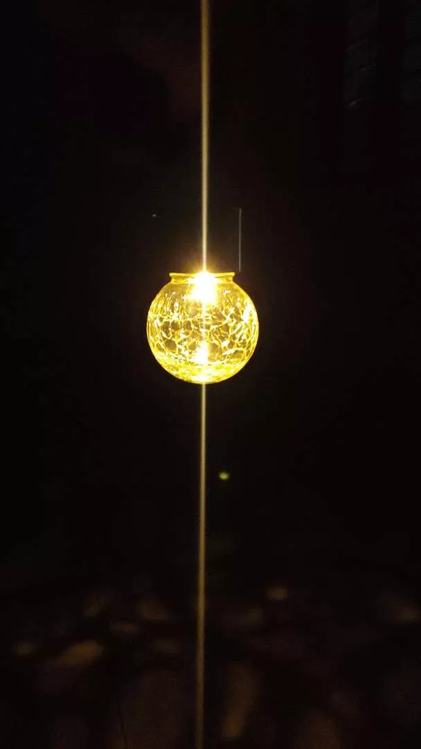 Solar  Globe String Lights, Warm/Colorful LED Fairy Light Garland For Wedding, Christmas, Backyard, Party photo review