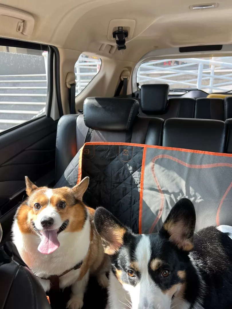 PetCruiser Dog Car Seat Extended