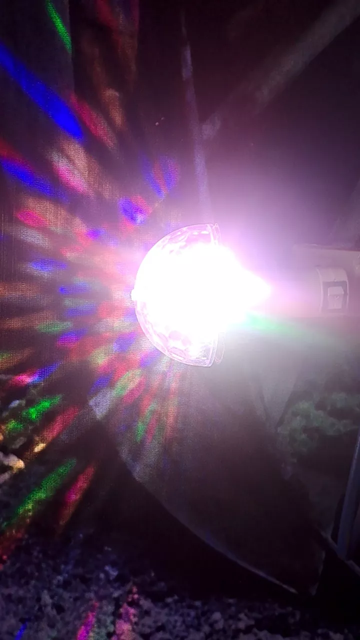 Colorful Rotating Magic Ball Light - LED Disco Ball Light for Home and Dance Parties photo review