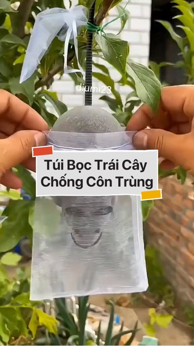 ￼Túi Bọc Trái Cây Chống Côn Trùng #VideohangDoiSong#ShopeeVideo#ShopeeCreator #LuotVuiMuaLien#KOLUyTin#Videomuasam #SandealcungKOL #diumi294