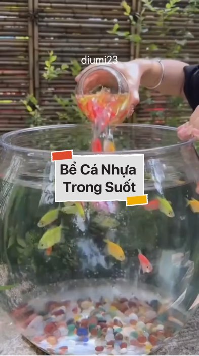Bể Cá Nhựa Trong Suốt chống vỡ #VideohangDoiSong#ShopeeVideo#ShopeeCreator #LuotVuiMuaLien#KOLUyTin#Videomuasam #SandealcungKOL #diumi441