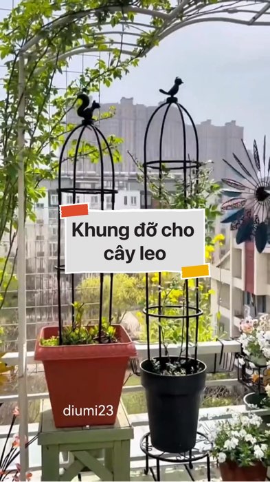 Khung đỡ cho cây leo #VideohangDoiSong#ShopeeVideo#ShopeeCreator #LuotVuiMuaLien#KOLUyTin#Videomuasam #SandealcungKOL #diumi591