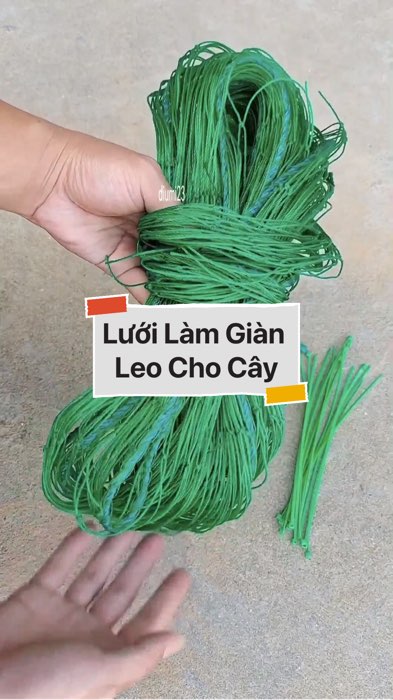 ￼Lưới Làm Giàn Leo Cho Cây #VideohangDoiSong#ShopeeVideo#ShopeeCreator #LuotVuiMuaLien#KOLUyTin#Videomuasam #SandealcungKOL #diumi593