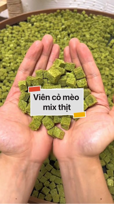 Viên cỏ mèo mix thịt #VideohangTieuDung #shopeestyle#ShopeeVideo#ShopeeCreator #LuotVuiMuaLien#KOLUyTin#Videomuasam #SandealcungKOL #diumi675
