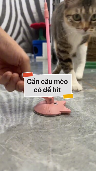 Cần câu mèo có đế hít #VideohangDoiSong#ShopeeVideo#ShopeeCreator #LuotVuiMuaLien#KOLUyTin#Videomuasam #SandealcungKOL #diumi688