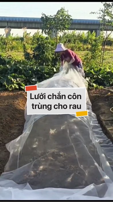 Lưới chắn côn trùng #VideohangDoiSong#ShopeeVideo#ShopeeCreator #LuotVuiMuaLien#KOLUyTin#Videomuasam #SandealcungKOL #diumi822