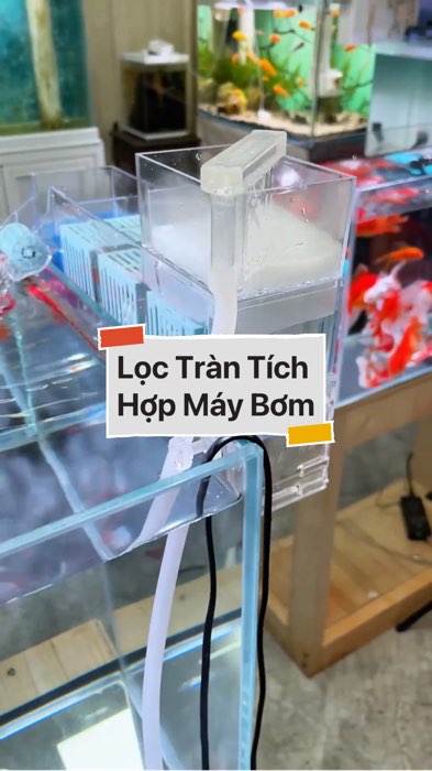 Lọc Tràn Tích Hợp Máy Bơm #VideohangDoiSong#ShopeeVideo#ShopeeCreator #LuotVuiMuaLien#KOLUyTin#Videomuasam #SandealcungKOL #diumi74