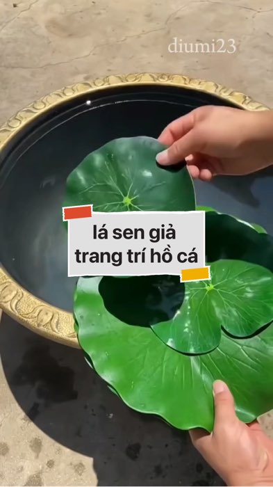lá sen giả trang trí hồ cá #VideohangDoiSong#ShopeeVideo#ShopeeCreator #LuotVuiMuaLien#KOLUyTin#Videomuasam #SandealcungKOL #diumi136