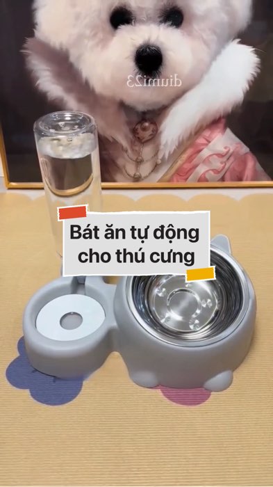 Bát ăn tự động cho thú cưng