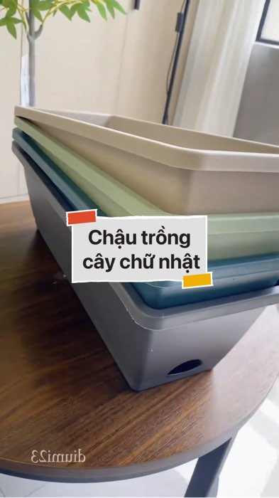 ￼Chậu nhựa trồng cây chữ nhật #VideohangDoiSong#ShopeeVideo#ShopeeCreator #LuotVuiMuaLien#KOLUyTin#Videomuasam #SandealcungKOL #diumi2