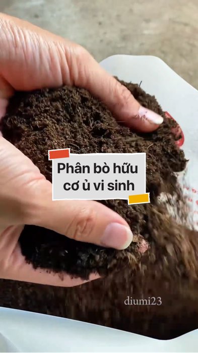 Phân bò hữu cơ ủ vi sinh #VideohangDoiSong#ShopeeVideo#ShopeeCreator #LuotVuiMuaLien#KOLUyTin#Videomuasam #SandealcungKOL #diumi133