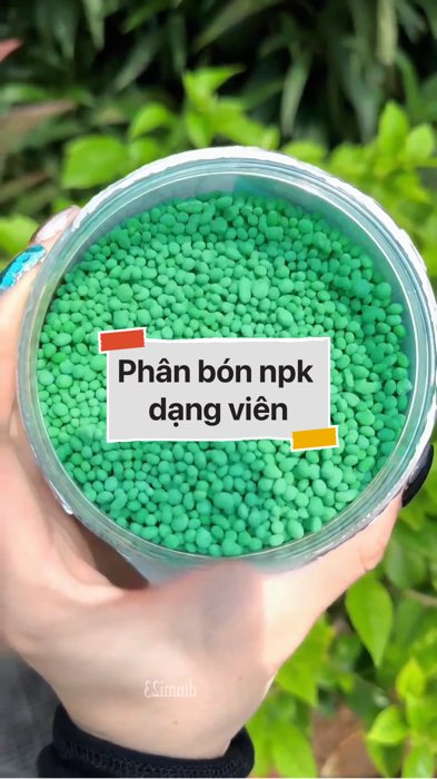 Phân bón npk dạng viên #VideohangDoiSong#ShopeeVideo#ShopeeCreator #LuotVuiMuaLien#KOLUyTin#Videomuasam #SandealcungKOL #diumi134