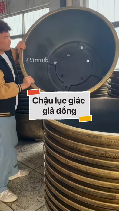 ￼Chậu lục giác giả đồng #VideohangDoiSong#ShopeeVideo#ShopeeCreator #LuotVuiMuaLien#KOLUyTin#Videomuasam #SandealcungKOL #diumi178