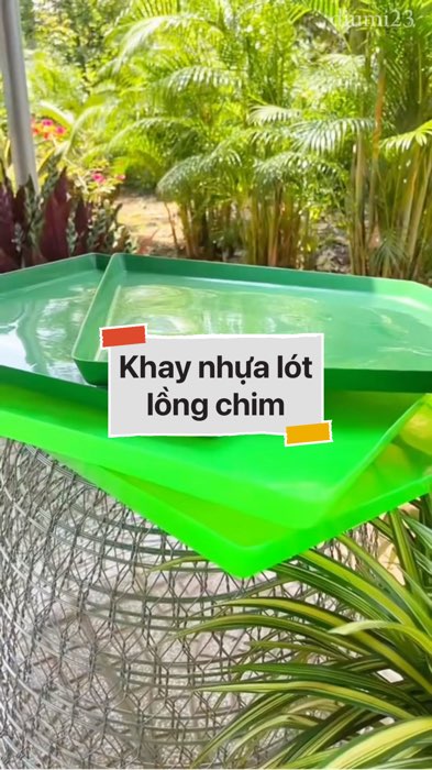 Khay hứng phân chim #VideohangDoiSong#ShopeeVideo#ShopeeCreator #LuotVuiMuaLien#KOLUyTin#Videomuasam #SandealcungKOL #diumi197