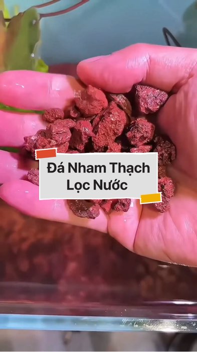 ￼ Đá Nham Thạch Lọc Nước #VideohangDoiSong#ShopeeVideo#ShopeeCreator #LuotVuiMuaLien#KOLUyTin#Videomuasam #SandealcungKOL #diumi220