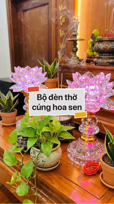￼ Bộ đèn thờ cúng hoa sen đổi 7 màu #VideohangDienTu#shopeestyle#ShopeeVideo#ShopeeCreator #LuotVuiMuaLien#KOLUyTin#Videomuasam #diumi262