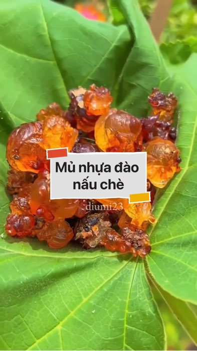 Mủ nhựa đào nấu chè #VideohangTieuDung #shopeestyle#ShopeeVideo#ShopeeCreator #LuotvuiMuaLien#KOLUyTin#Videomuasam #SandealcungKOL #diumi442