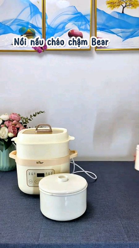 Nồi nấu chậm Bear #noinaucham #noinauchambear #LuotVuiMuaLien #Shopeevideo #ShopeeCreator #HangMoiVe