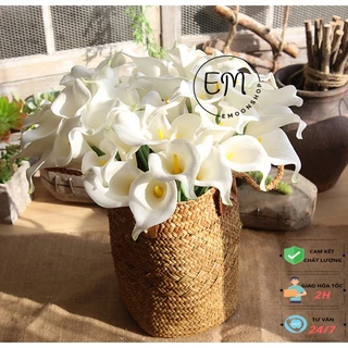 Hoa Rum Trắng, Hoa calla lily giả giống thật trang trí phòng, cầm tay cô dâu, decor chụp ảnh