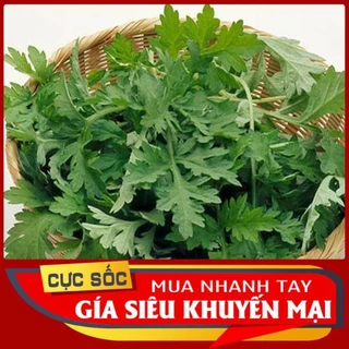 Cây Ngải Cứu tươi 1kg - lá ngải cứu tươi síp hoả tốc tại Sài Gòn 1h nhận hàng