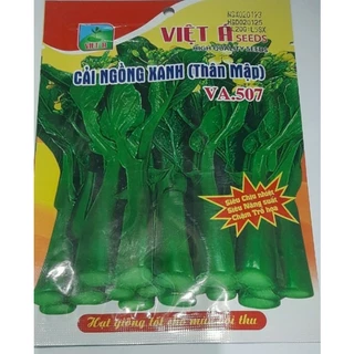 (Gói 20g)Hạt giống rau cải ngồng F1