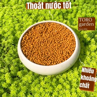 PHÂN TAN CHẬM BỔ DƯỠNG(100g) 🍏 DÀNH CHO SEN ĐÁ XƯƠNG RỒNG