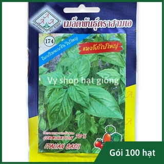 Hạt giống húng quế Ý - Italian basil Thái Lan gói 100 hạt