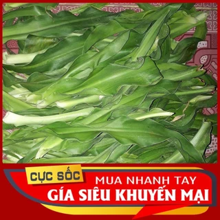 Cây Trinh Nữ Hoàng Cung Tươi 500gr -hang chuẩn Vietgap