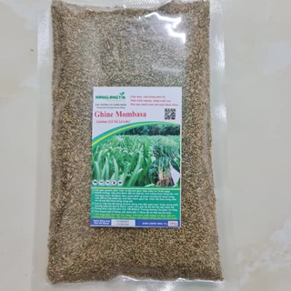 Hạt Giống Cỏ Ghine Mombasa - Cỏ Sả Lá Lớn Gói 200g