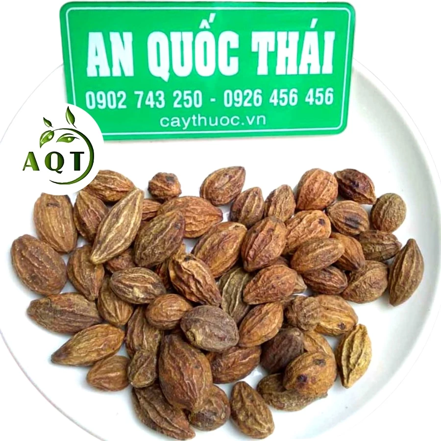 Hạt Kha Tử (Quả Chiêu Liêu) 300g Giảm Ho, Khàn Tiếng, Trái Kha Tử Loại 1 Sạch, Đẹp Ngậm Giảm Đau Họng