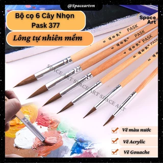 Cọ Bộ 6 Cây Nhọn PASK Lông Mềm Tự Nhiên 377